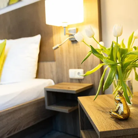 阿姆娜酒店 3* 特里尔