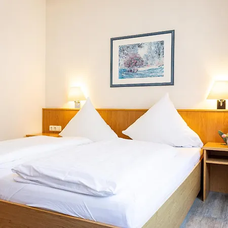 Hotel Aulmann 3*