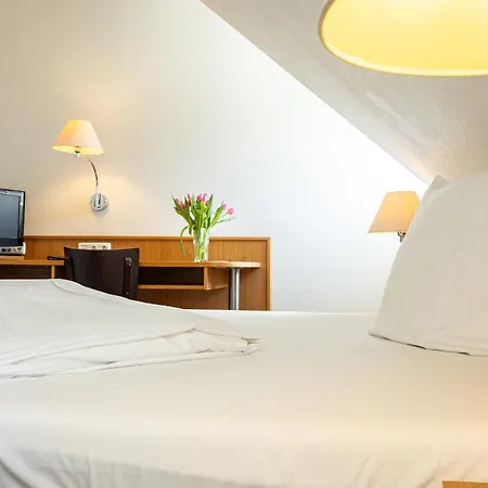 阿姆娜酒店 3* 特里尔