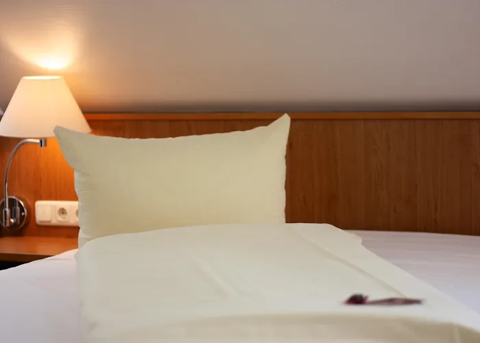 酒店 阿姆娜酒店 特里尔