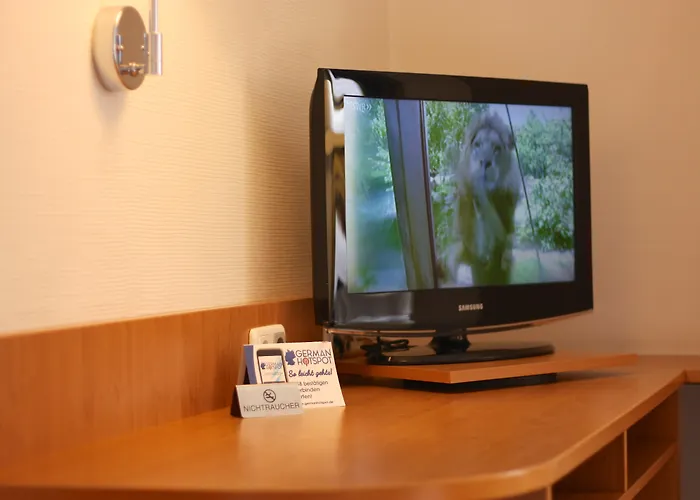 阿姆娜酒店 特里尔