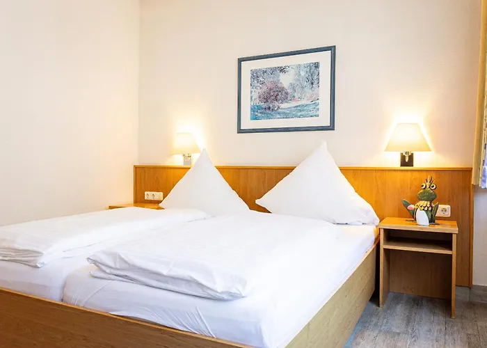 酒店 阿姆娜酒店 3*