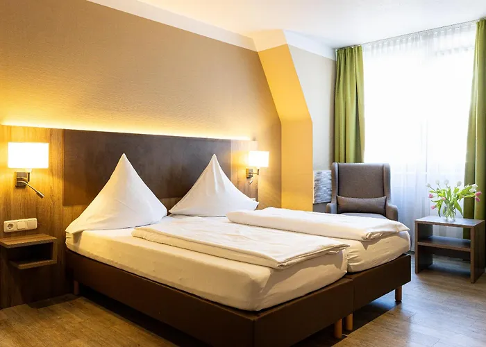 阿姆娜酒店 3* 特里尔