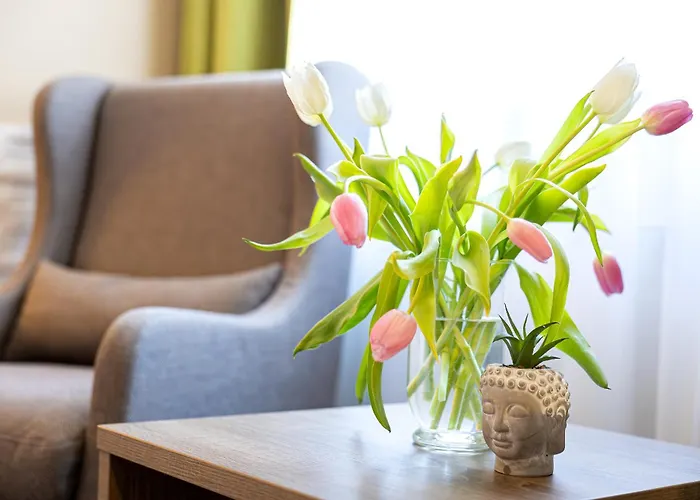 酒店 阿姆娜酒店