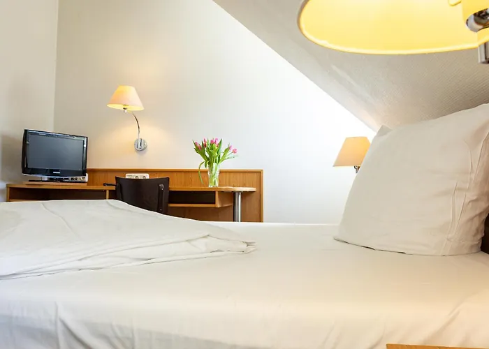 Aulmann 3* טרייר