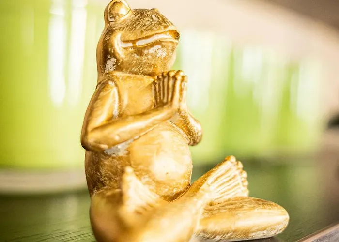 阿姆娜酒店 酒店