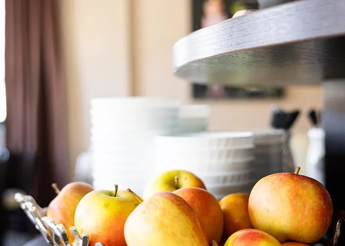 酒店 阿姆娜酒店 3*