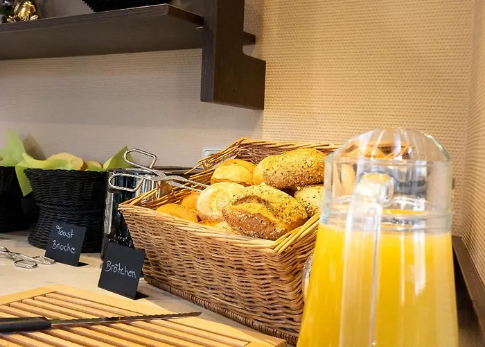 Aulmann 3* טרייר