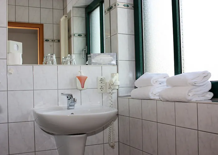 阿姆娜酒店 3* 特里尔