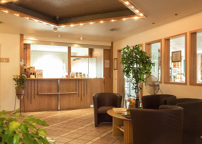 阿姆娜酒店 酒店 3*