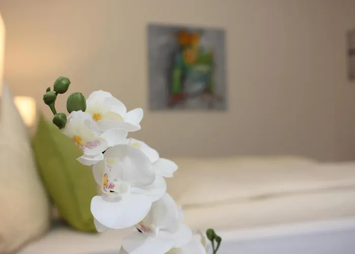 酒店 阿姆娜酒店 特里尔